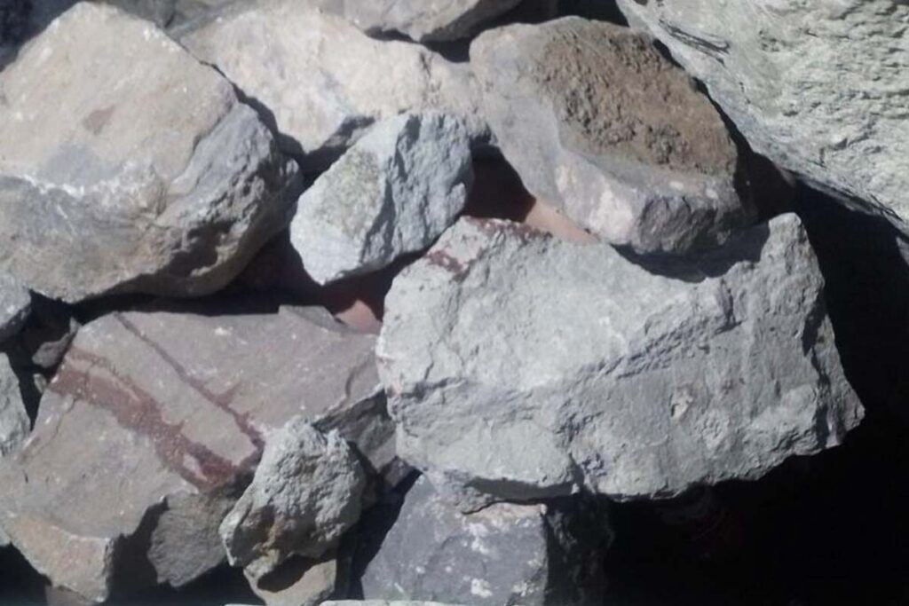 Estrella, una adolescente de 15 años, fue asesinada por su pareja sentimental