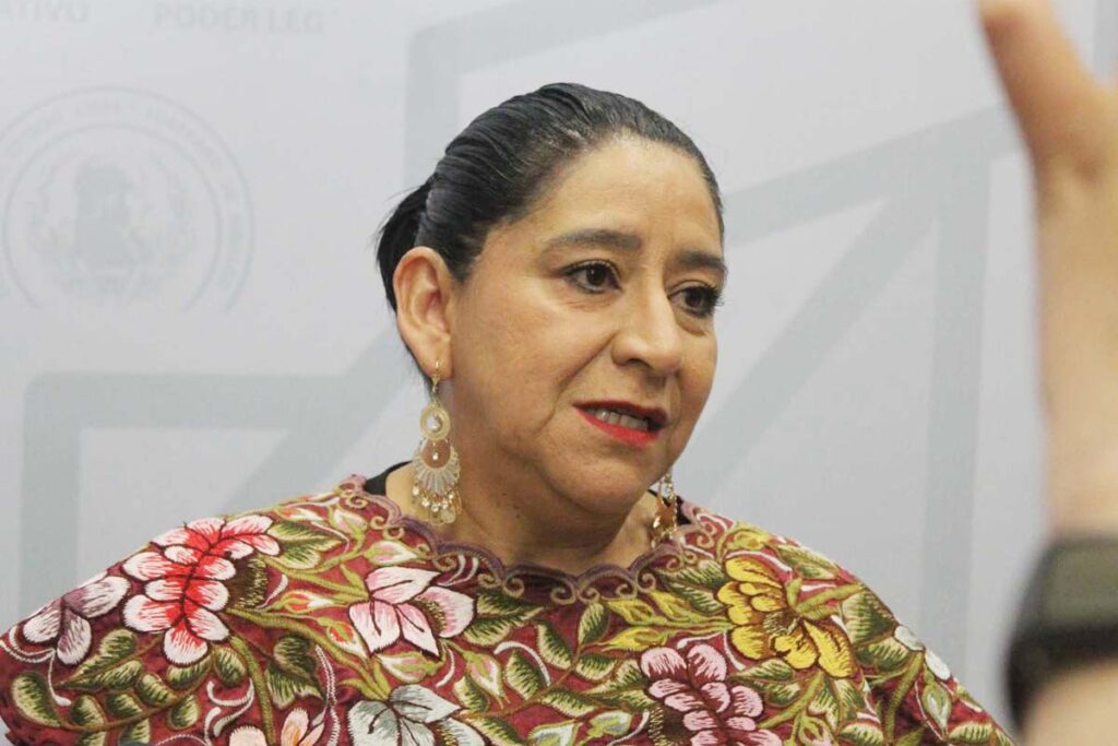 Elizabeth Quintanar dice que cuando transcurra el tiempo se podría modificar la ley para permitir el acceso a este tipo de servicio