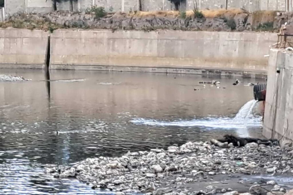 Tras el derrame, se desconoce sobre una sanción hacia la refinería por parte de alguna dependencia encargada de proteger al ambiente