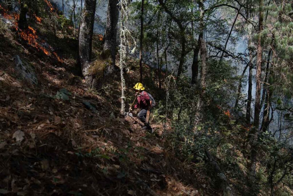 Los trabajos para sofocar el incendio avanzan lentamente debido a la topografía del lugar y al clima 