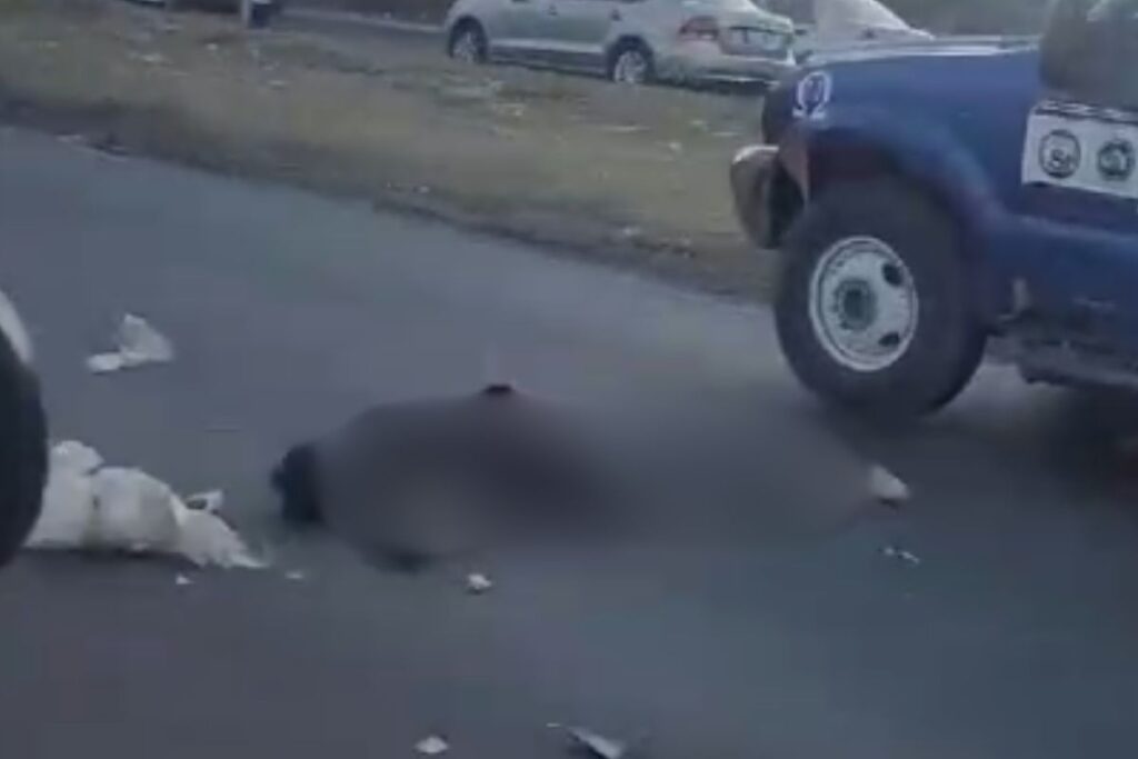 Accidente en México-Querétaro: motociclista pierde la vida tras ser arrollado en la vía