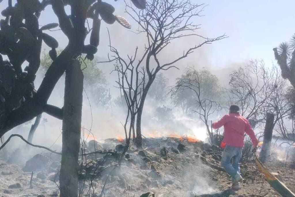 Uno de los municipios afectados por el fuego este viernes es Francisco I. Madero