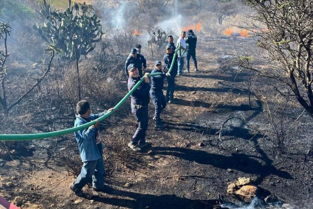 ¿Cuántos incendios forestales se han atendido en Hidalgo en lo que va de marzo?