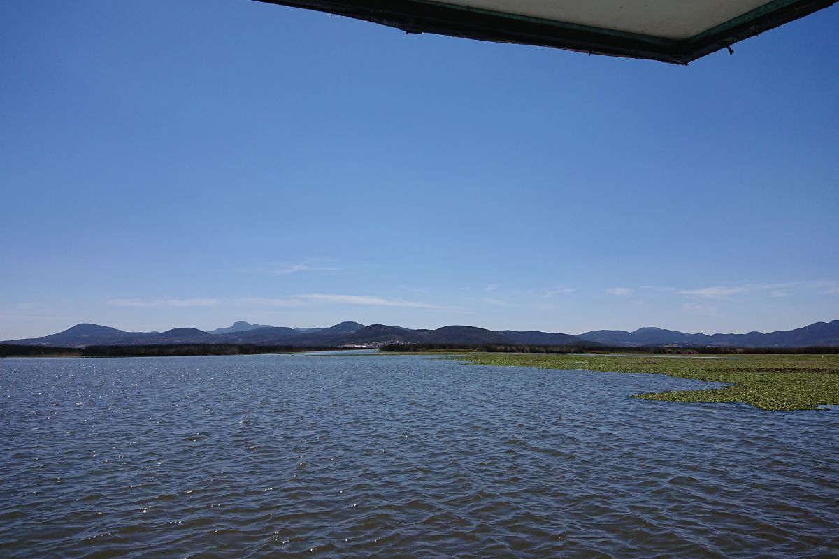 La laguna de Tecocomulco es un santuario donde la naturaleza y la cultura se entrelazan | Foto: Sara Elizondo