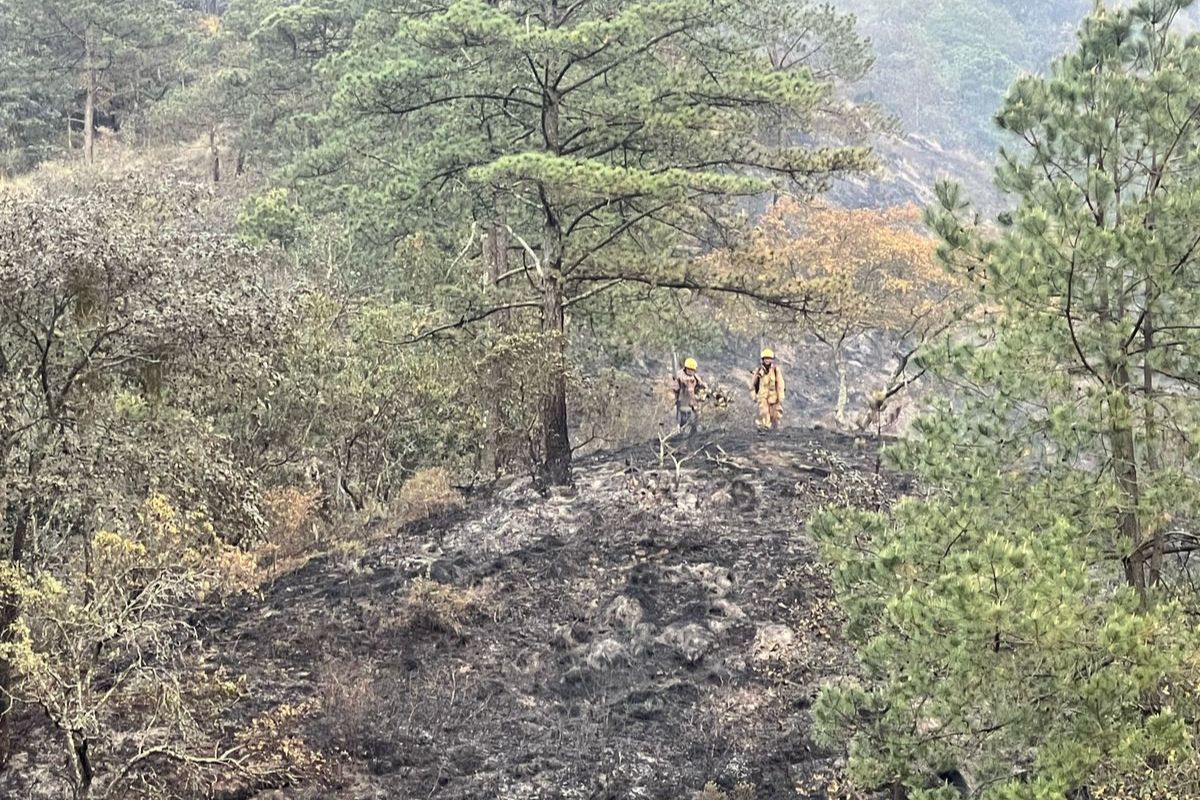 Se estima que al menos ocho de cada 10 deflagraciones de pastizales, hierba seca y basura acumulada en predios baldíos son provocadas | Foto: Especial