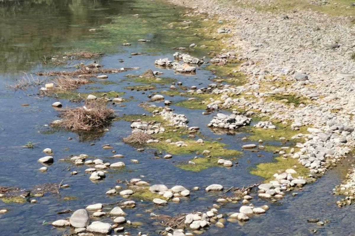 Existe temor de que los ríos se queden sin líquido, como ocurrió hace algunos meses | Foto: Salomón Hernández