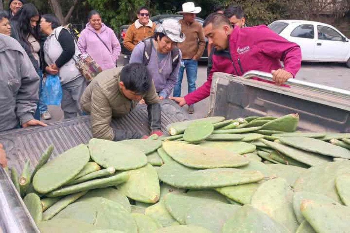 La iniciativa tiene el objetivo de impulsar la agricultura y la ganadería en la región | Foto: Especial
