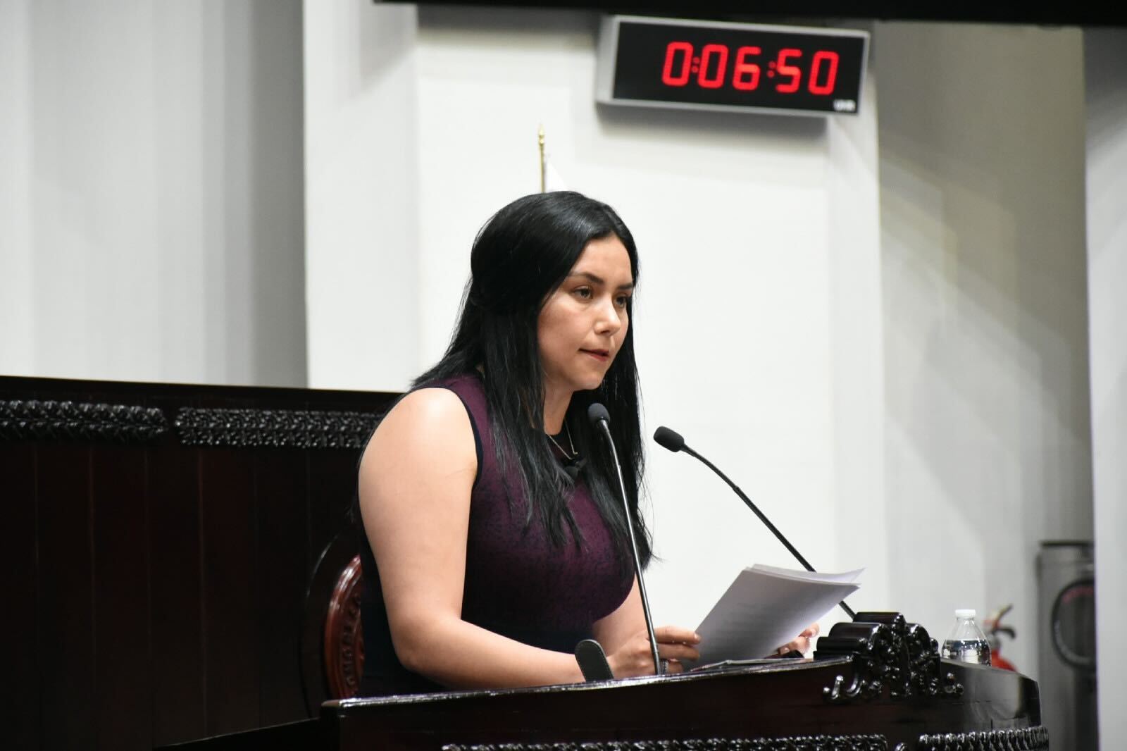 La diputada Liz Ordaz Islas, presidenta de la Comisión de Legislación y Puntos Constitucionales, presentó el dictamen de una reforma que busca simplificar los trámites legislativos