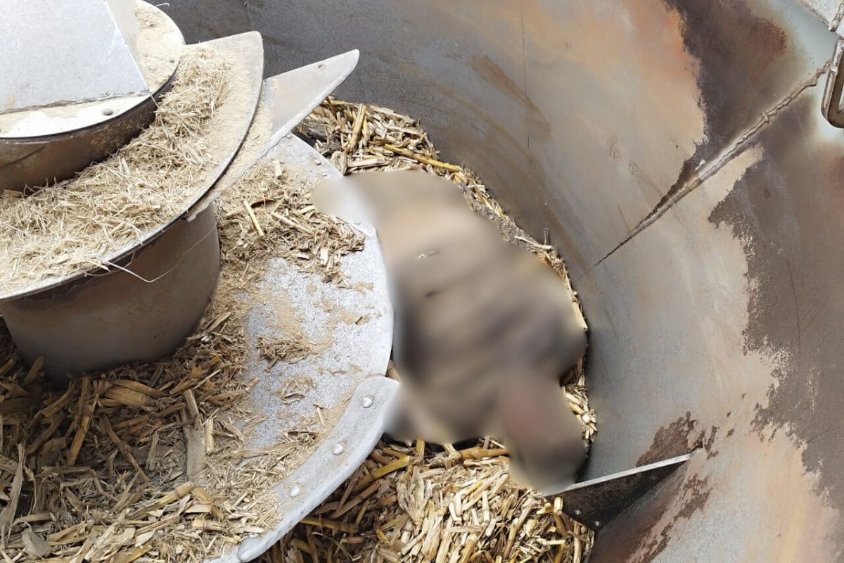 La revolvedora de pastura en la que cayó el hombre fue detenida de inmediato