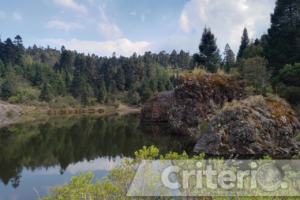 Rodeada de árboles y muy tranquila, ideal para escapar del bullicio