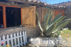 Aprende cómo se raspa, se meteplanta y se cura el maguey mientras brindas como se debe