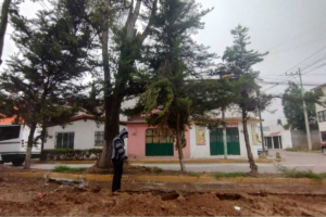 Guerrero Rodríguez señaló que la remoción se efectuará en colaboración con las direcciones de Mantenimiento Urbano y Obras Públicas