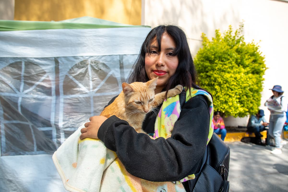 En Tlahuelilpan, el compromiso con el bienestar animal continúa fortaleciéndose, al alcanzar 450 acciones de esterilización canina y felina