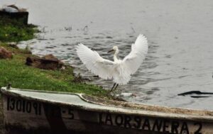 Compañeros pescadores iniciaron la búsqueda tras la alerta de la familia