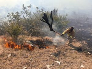 Fuego arrasa con la vegetación del cerro Toros de Lidia en Tepeji de Río.