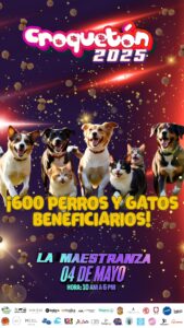 La solidaridad se hará presente en Pachuca con este evento a favor del bienestar animal en Hidalgo