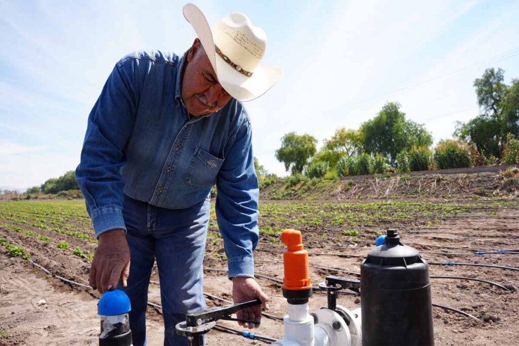 Buscan hacer eficiente el uso de agua e incrementar los rendimientos por hectárea