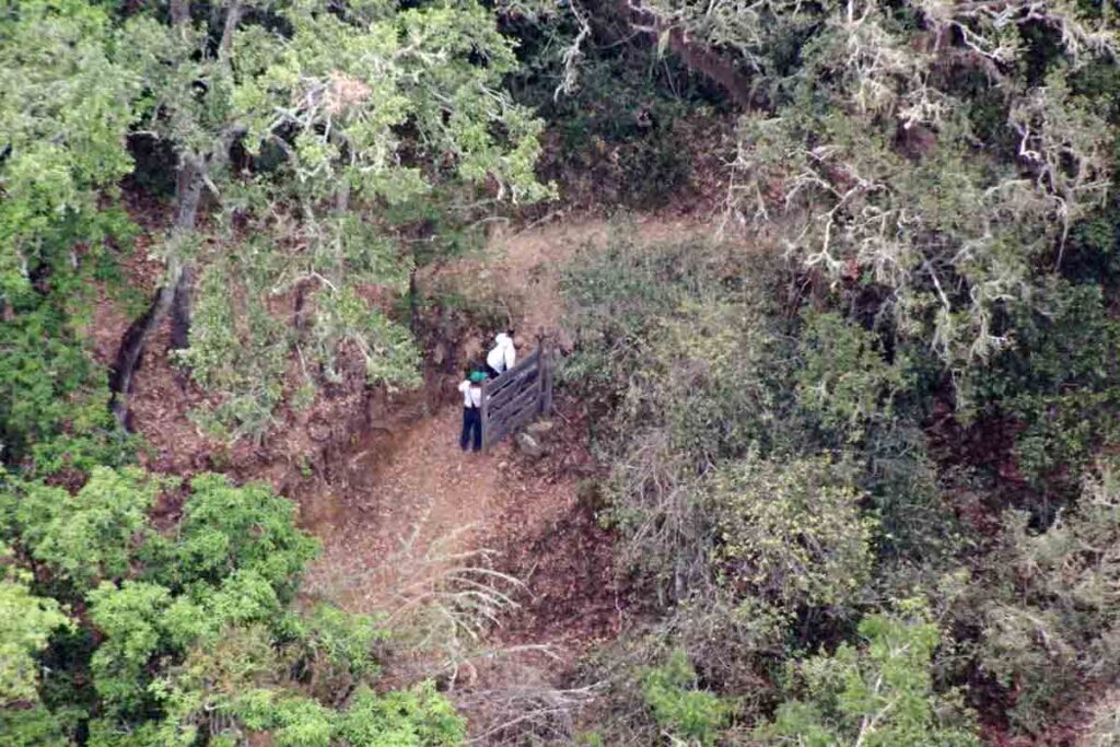 Vecinos del lugar y pobladores de comunidades cercanas se han sumado a la búsqueda de Dorian, recorriendo caminos, parajes, barrancas y ríos 