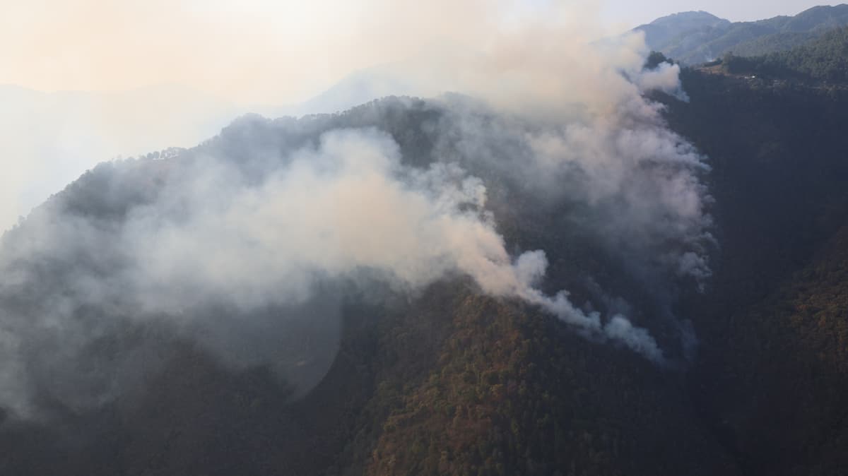 Protección Civil estatal supervisa las labores contra el incendio en coordinación con municipios / Foto de Protección Civil 