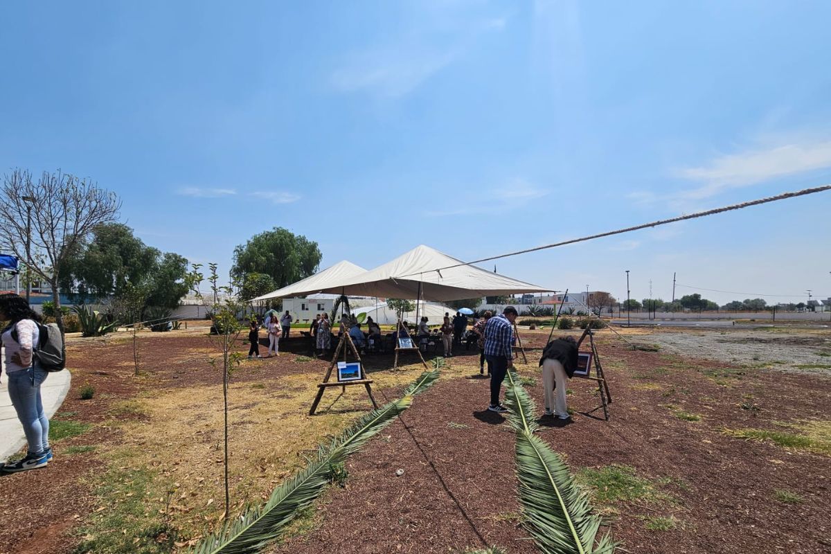 El evento se llevó a cabo en el parque Yolitia, en la colonia Haciendas de Tizayuca | Foto: Carlos Cisneros