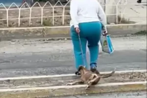 Una mujer fue captada arrastrando a un perro recientementeFoto: Archivo