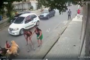 Algunos testigos se acercaron para ayudar a la mujer que luchaba por defender a su golden