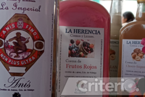 Participantes destacaron la herencia familiar, el uso del maguey y la riqueza culinaria de Hidalgo