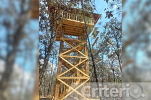 Bosques, cimas y panorámicas: así se viven los miradores más espectaculares de Hidalgo