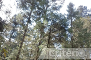 Comarca Minera impulsa la economía local con turismo, ciencia y cultura