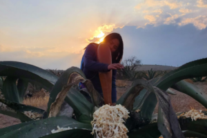 Brisa Fernanda dejó la ciudad y encontró su vocación entre magueyes