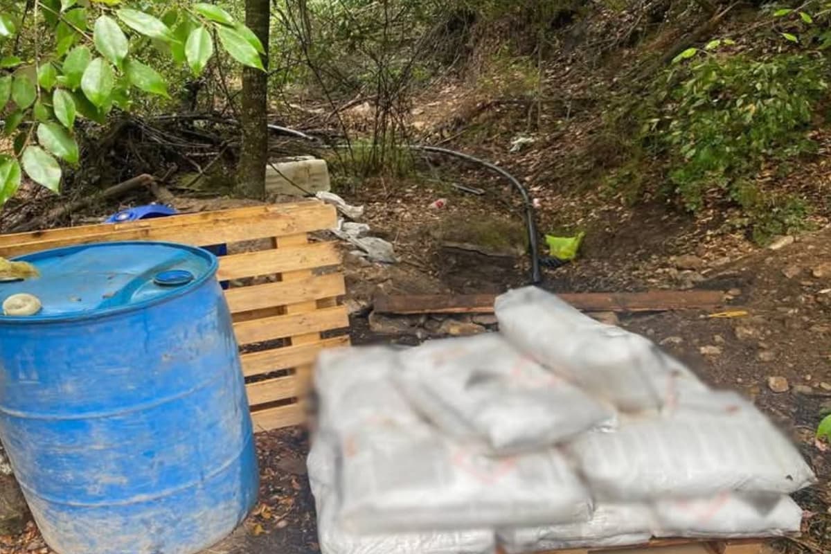 Autoridades incautaron más de mil litros de químicos y armas en narcolaboratorio de Acaxochitlán
