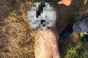 El cuerpo sin vida fue encontrado en el canal de aguas negras en Tlaxcoapan, generando preocupación