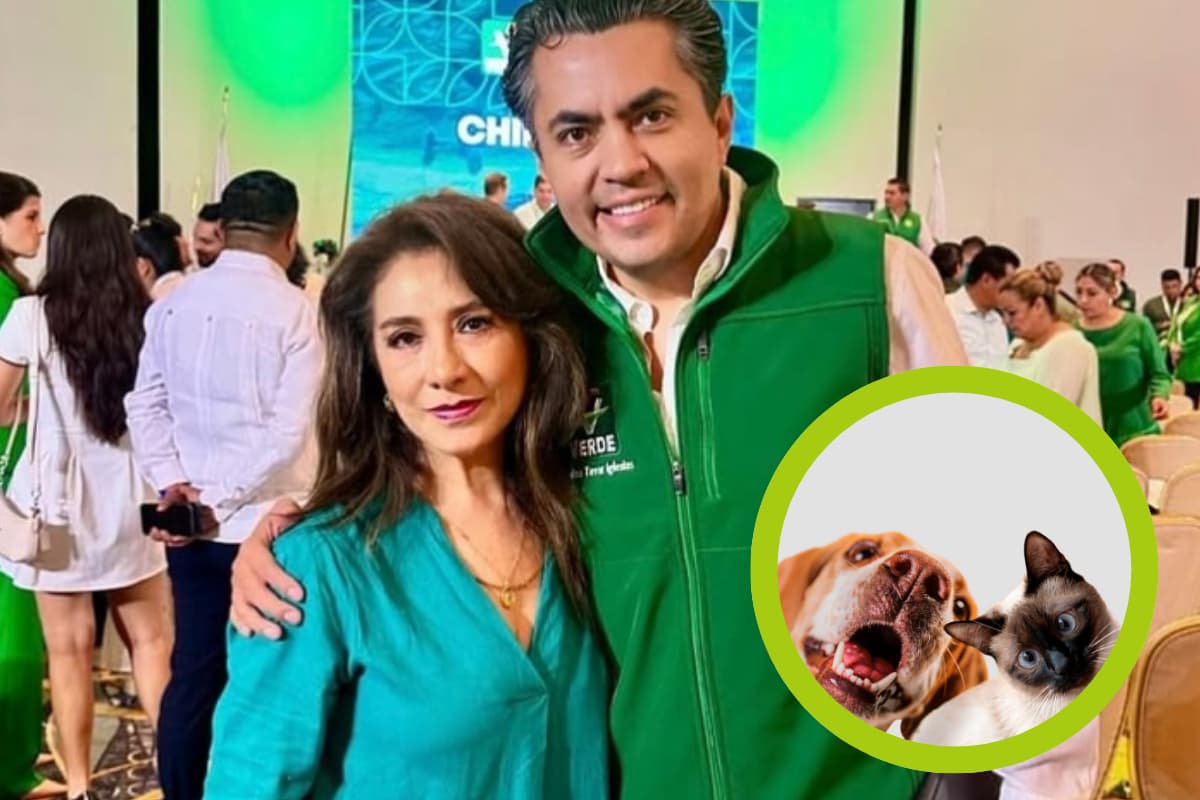 La regidora de Apan, María Gloria Hernández Madrid, genera controversia al negar los derechos de los animales