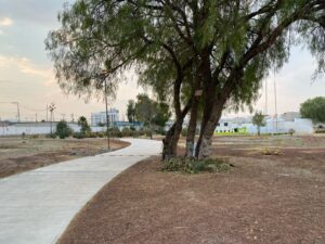Pobladores de Tizayuca pueden realizar trámites ante la Dirección de Ecología en el parque YolitiaFoto: Especial
