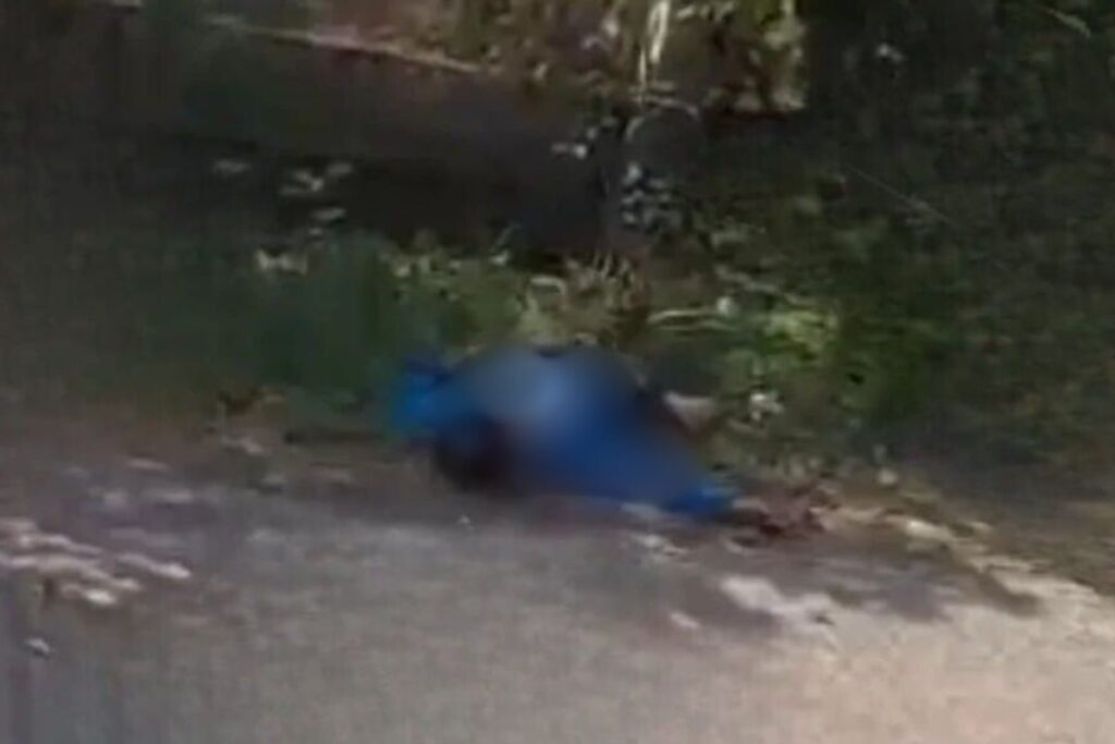 En Atlapexco, arrollan a una madre y a su hijo; uno de ellos perdió la vida en el lugar