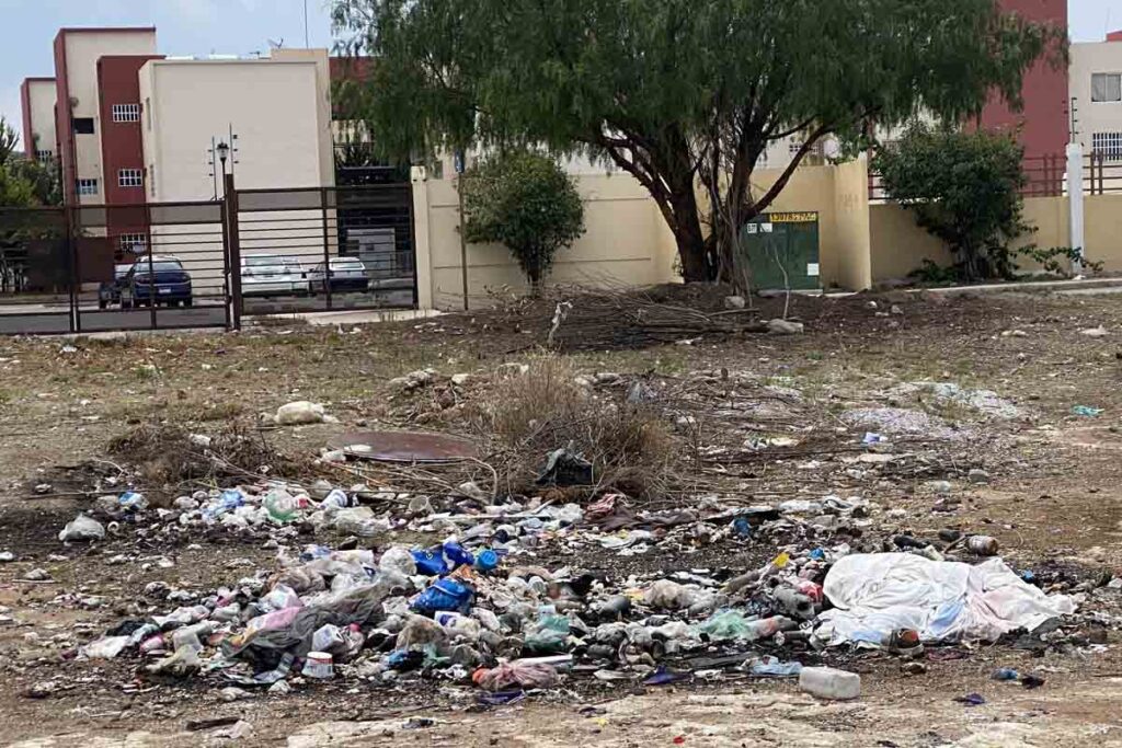 Tizayuca requiere una estrategia donde se puedan combinar las acciones de concienciación, limpieza y vigilancia, así como sanciones a quienes arrojen basura