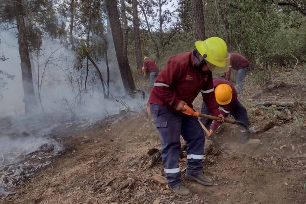 Es fundamental reforzar las medidas preventivas contra los incendios, como evitar hacer fogatas en el bosque