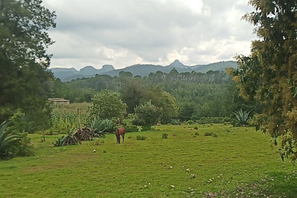 Harán recorrido en Omitlán para conmemorar la visita de Alejandro de Humboldt a la Comarca Minera