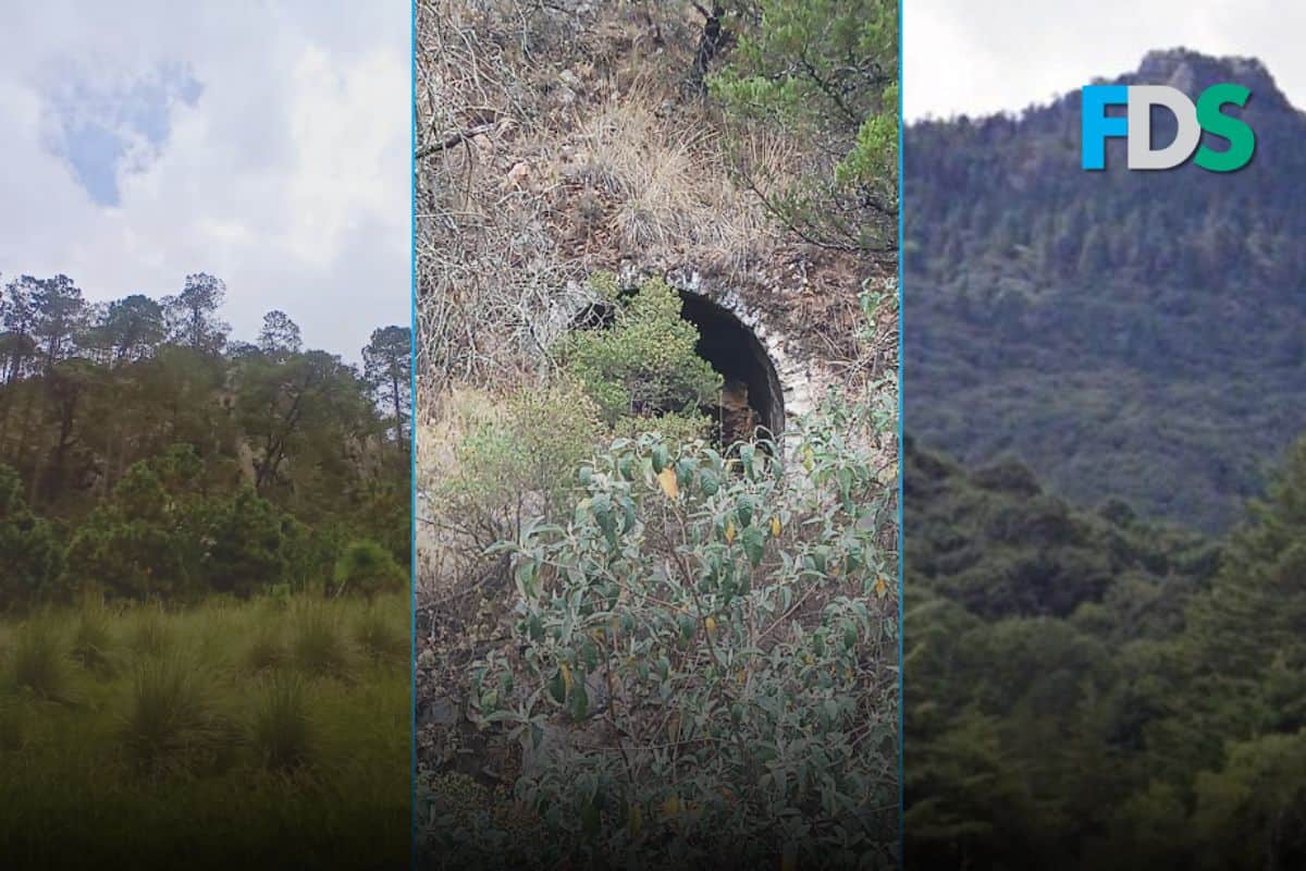 Harán recorrido en Omitlán para conmemorar la visita de Alejandro de Humboldt a la Comarca Minera