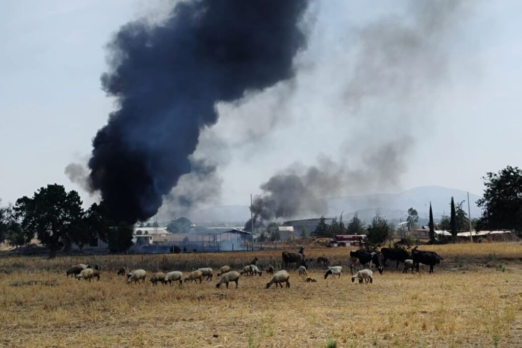 En Santiago Tulantepec, incendio quema mil llantas y genera alerta ambiental en la región