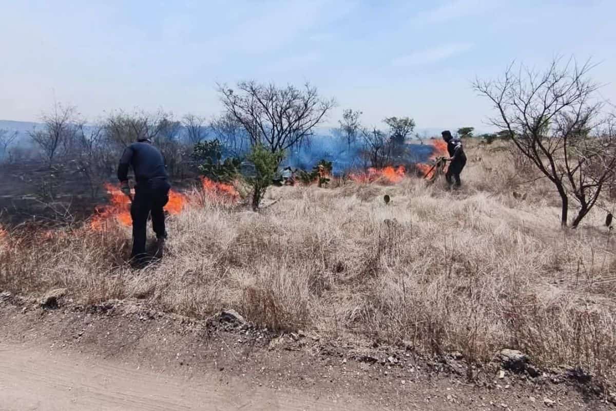 Incendios en Tepeji del Río rebasa límites territoriales del municipio, afirman