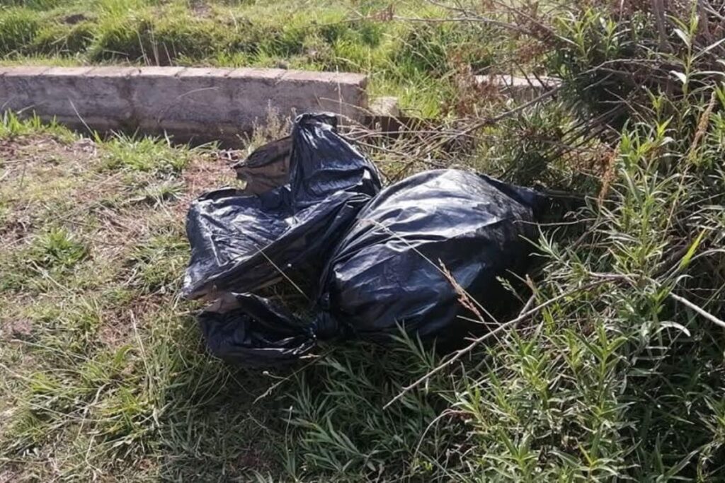 Alerta en Tulancingo: Hallan un cadáver desmembrado dentro de una bolsa negra