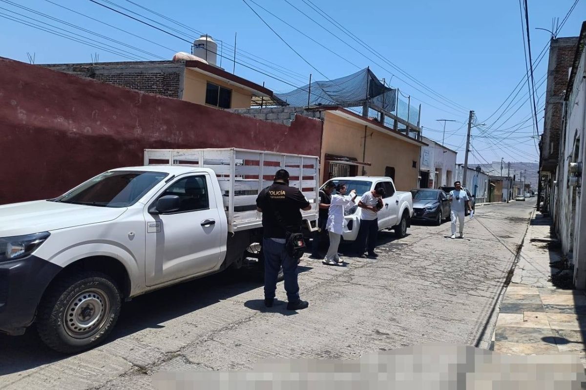 A la semana, la Dirección de Medio Ambiente recibe de cinco a 10 reportes relacionados con maltrato animal | Foto: Especial