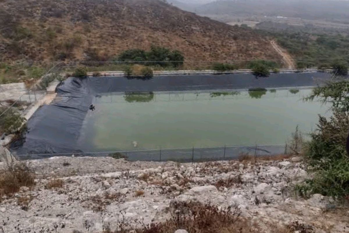 Se presentó el caso de unos perros atrapados en una presa | Foto: Especial