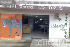 Con tinacales activos y experiencias gastronómicas, preservan esta bebida milenaria