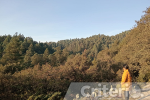 Ubicado en Mineral del Chico, este punto panorámico permite ver hasta Huasca y Omitlán en días despejados