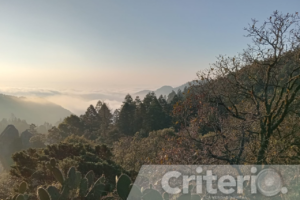 La experiencia incluye caminata al amanecer, observación de flora y tisanas con vista al bosque hidalguense