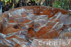 El evento reúne productores, artistas y cocineras en un espacio de comercio justo y sin agrotóxicos
