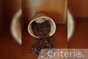 Déjate sorprender por la calidez y el conocimiento de Almán La Finca, donde cada recomendación de café se adapta a tus gustos, creando una conexión personal con tu bebida favorita