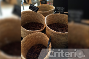 Explora la fascinante diversidad de granos, desde caracolillo hasta las variedades geisha y borbón, que Almán La Finca trae directamente de generaciones de cafeticultores apasionados